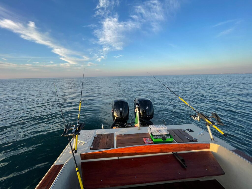 BOSTON WHALER 25 REVENGE+2 X MERCURY 150 CV - Campello Marine - Vendita e  noleggio barche Venezia