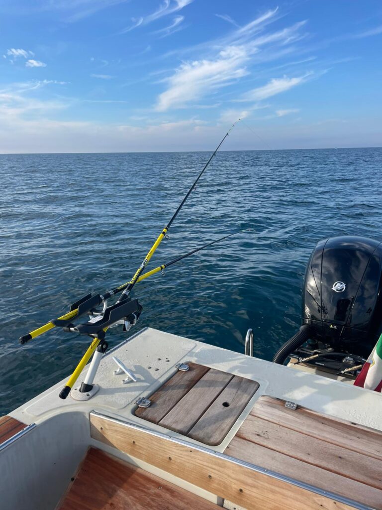 BOSTON WHALER 25 REVENGE+2 X MERCURY 150 CV - Campello Marine